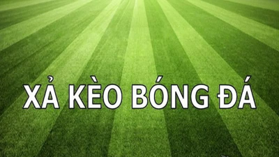 Cách xả kèo - Bỏ túi mẹo chơi hay để hạn chế bị thua lỗ